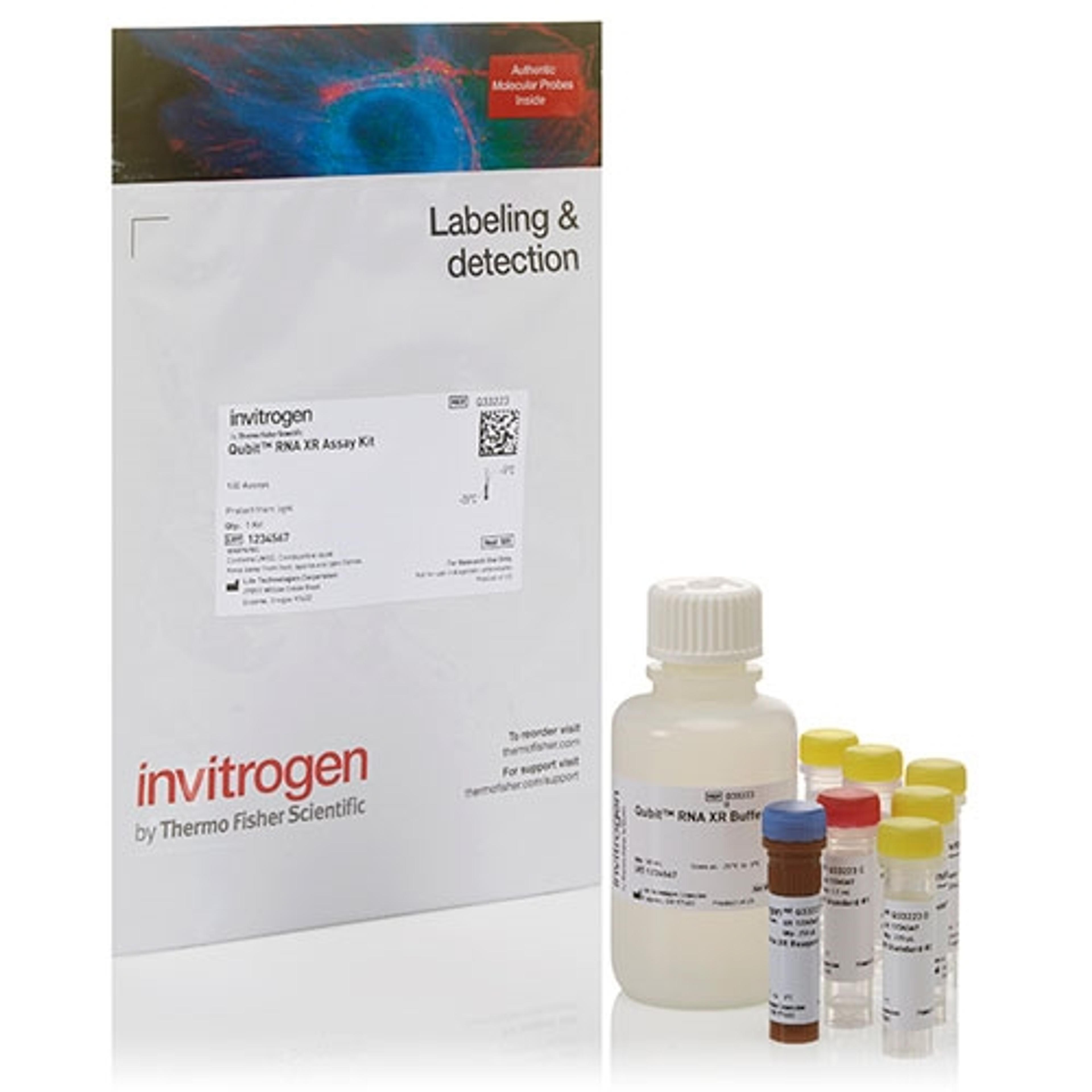 Invitrogen™ Qubit™ RNA XR Assay Kit - Thermo Fisher Scientific - Life Sciences