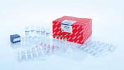 AllPrep DNA/RNA/miRNA Universal Kit (50) - QIAGEN