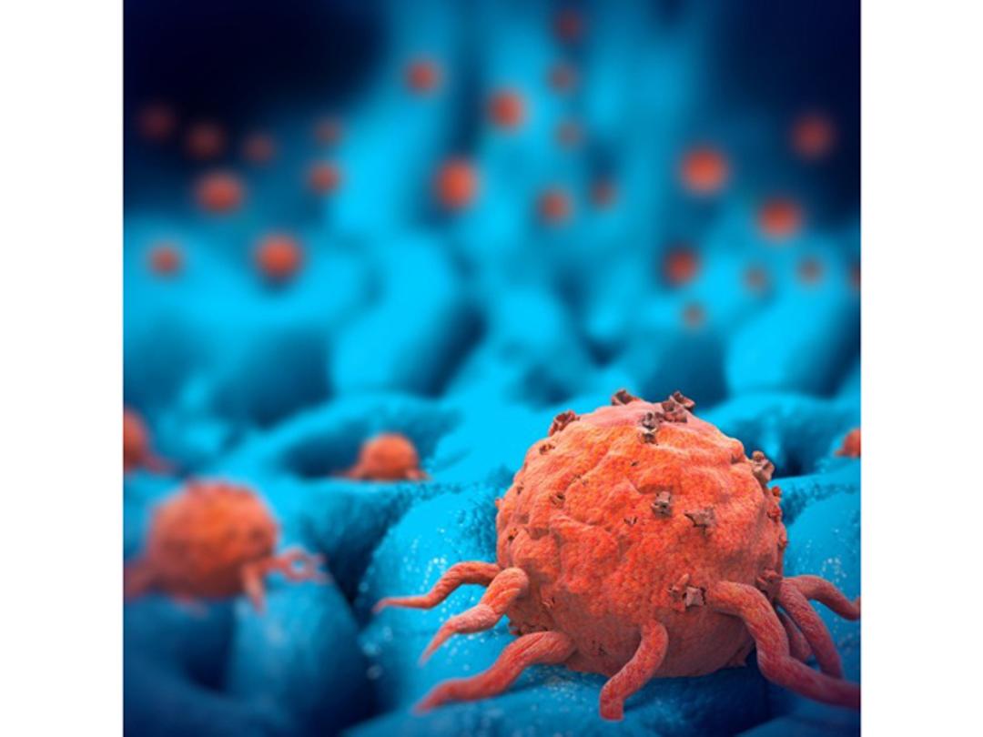 Syngeneic Models - Crown Bioscience - Drug discovery > Pre-Clinical Development