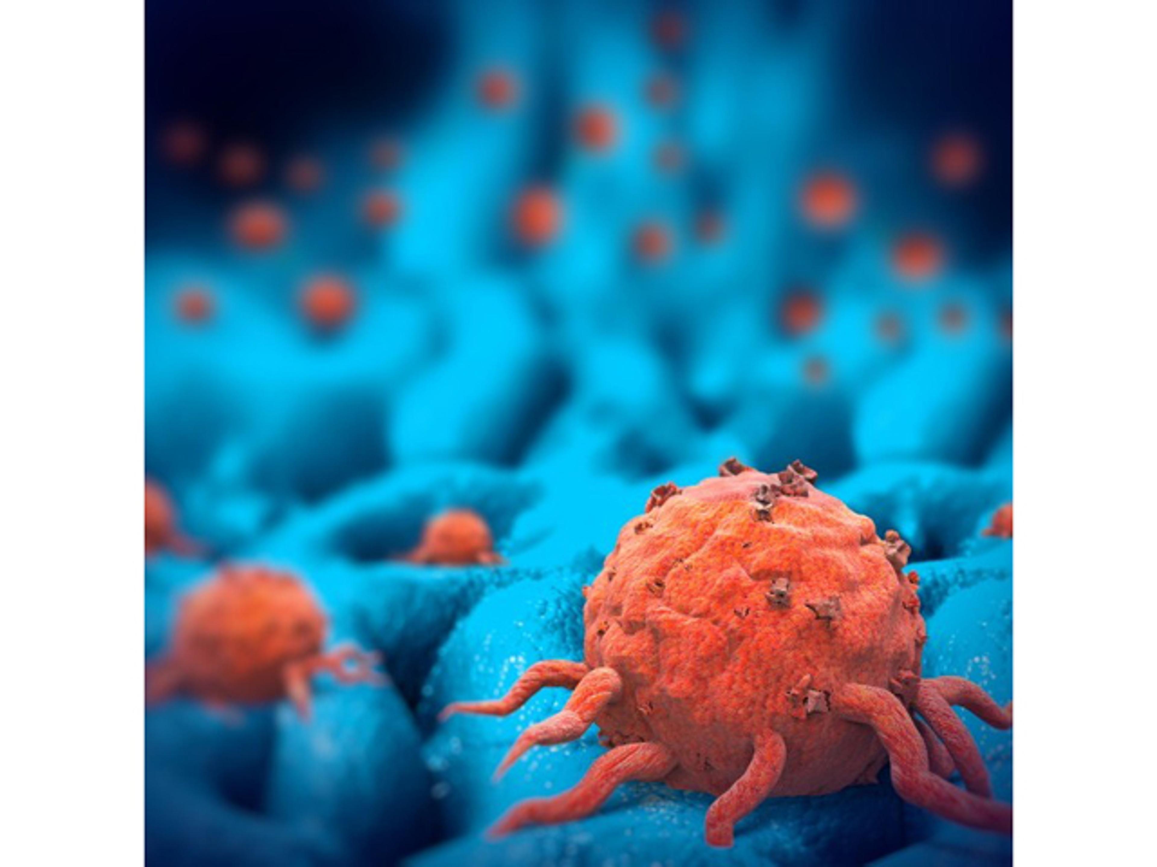 Syngeneic Models - Crown Bioscience - Drug discovery > Pre-Clinical Development