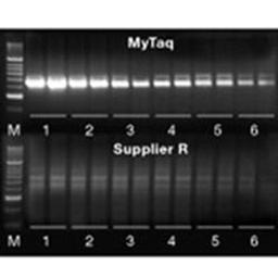 MyTaq™ DNA Polymerases - Meridian Bioscience Inc. - Life Sciences