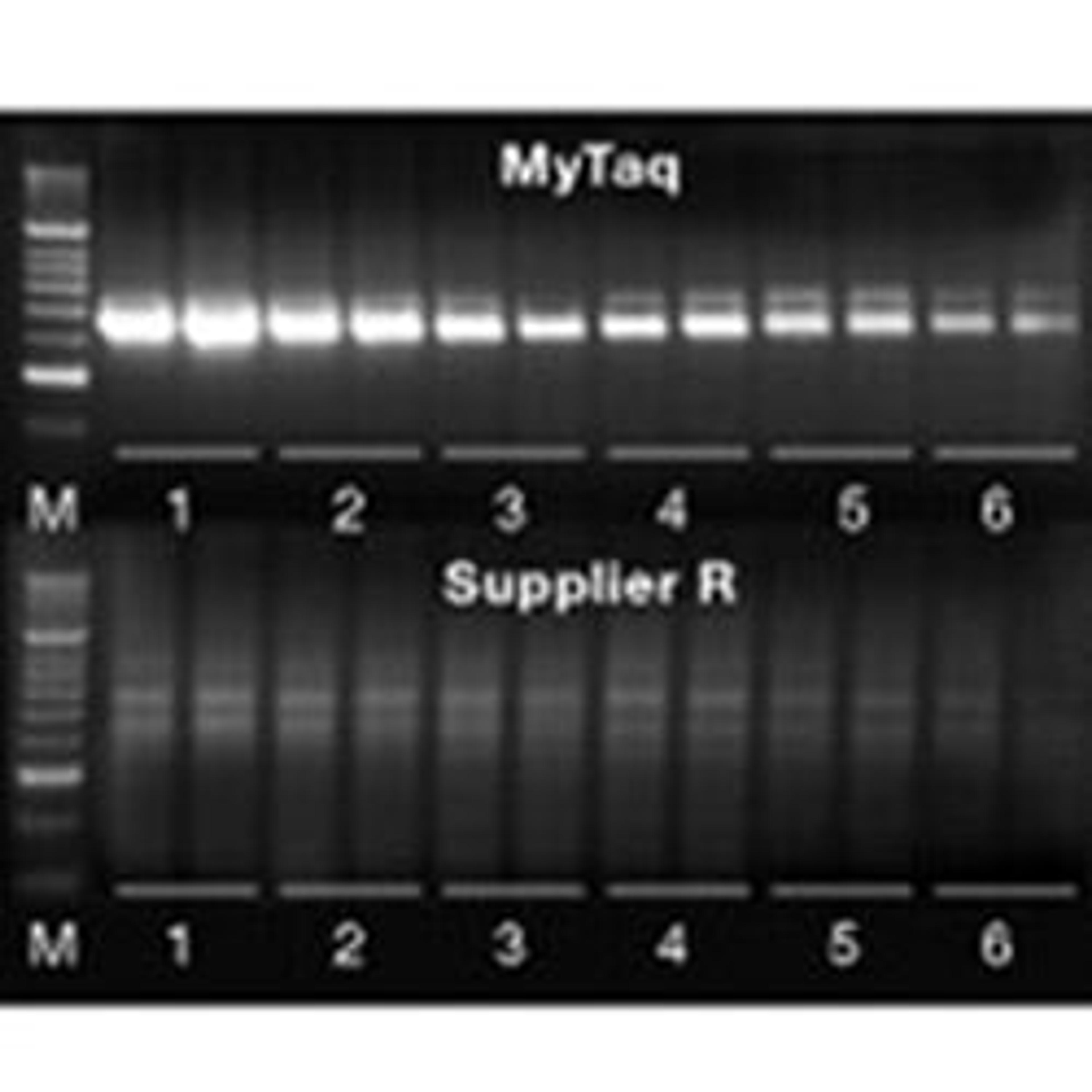 MyTaq™ DNA Polymerases - Meridian Bioscience Inc. - Life Sciences