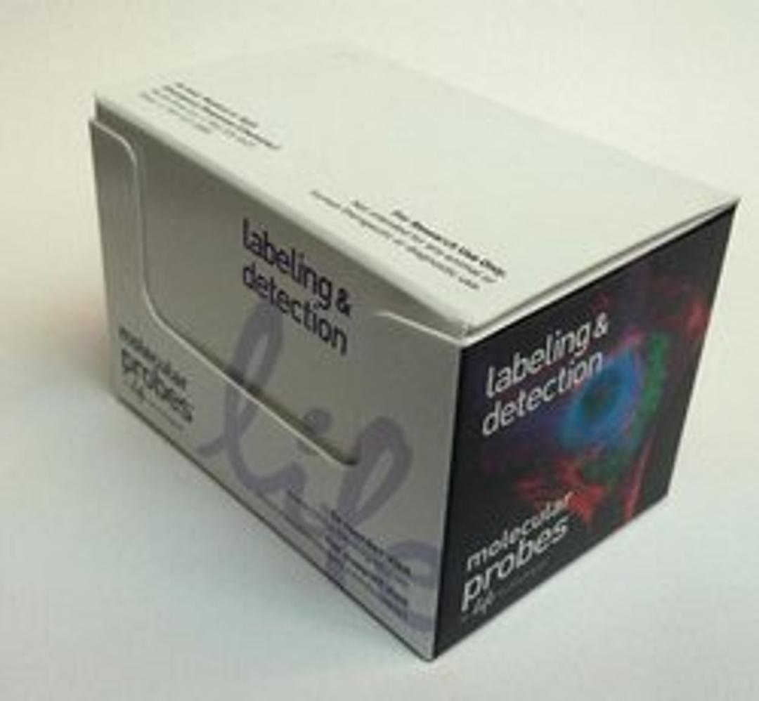 Invitrogen™ Image-iT™ Fixation/Permeabilization Kit - Thermo Fisher Scientific - Life Sciences