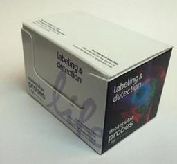 Invitrogen™ Image-iT™ Fixation/Permeabilization Kit - Thermo Fisher Scientific - Life Sciences