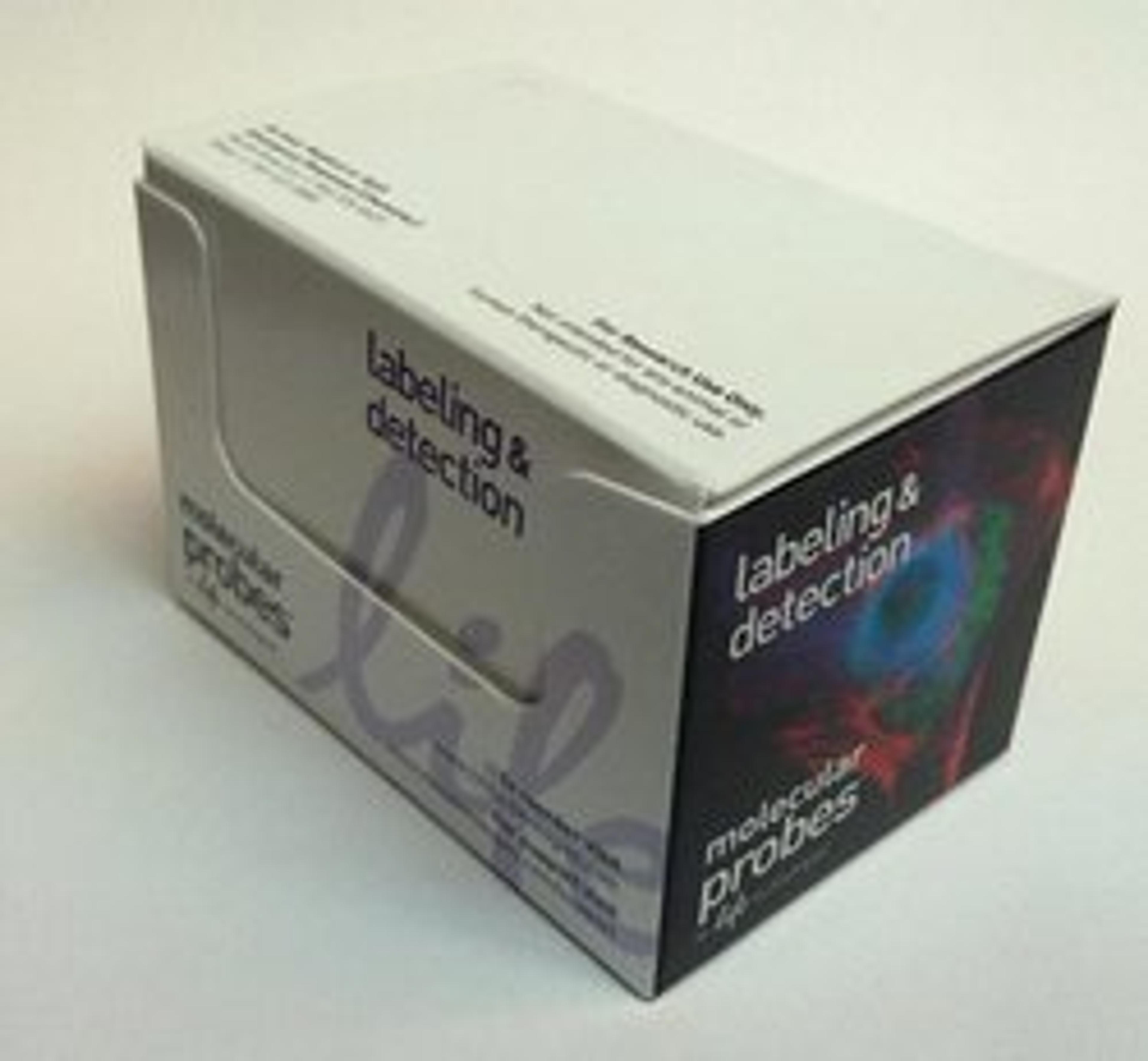 Invitrogen™ Image-iT™ Fixation/Permeabilization Kit - Thermo Fisher Scientific - Life Sciences