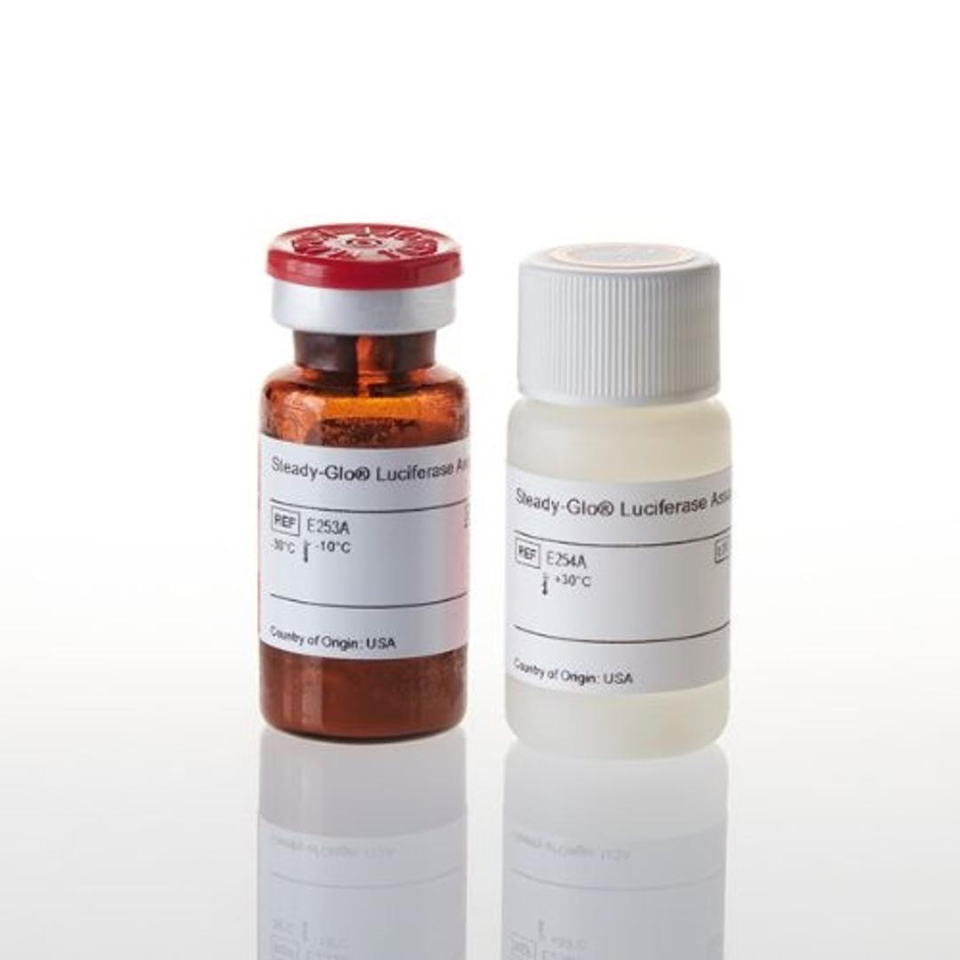 Steady-Glo ® Luciferase Assay System - Promega Corp. - Life Sciences