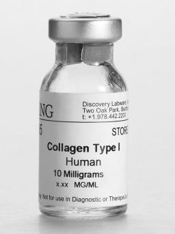 Corning® Collagen I, Human, 10 mg - Corning Life Sciences - Life Sciences