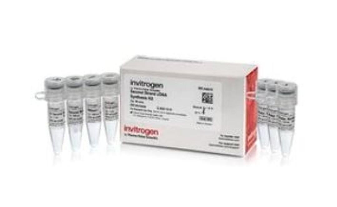 Second Strand cDNA Synthesis Kit - Thermo Fisher Scientific - Life Sciences