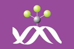 MethylCap kit - Diagenode - Life Sciences