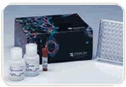 QCM Chemotaxis Cell Migration Assays - Merck - Life Sciences