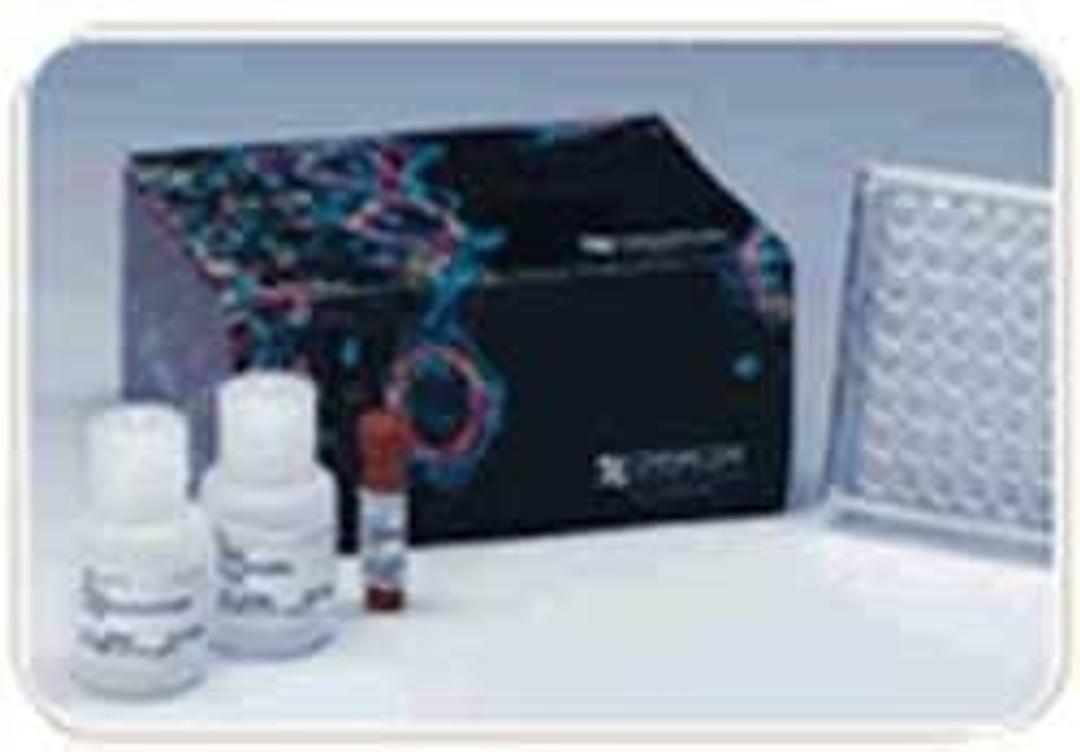 QCM Chemotaxis Cell Migration Assays - Merck - Life Sciences