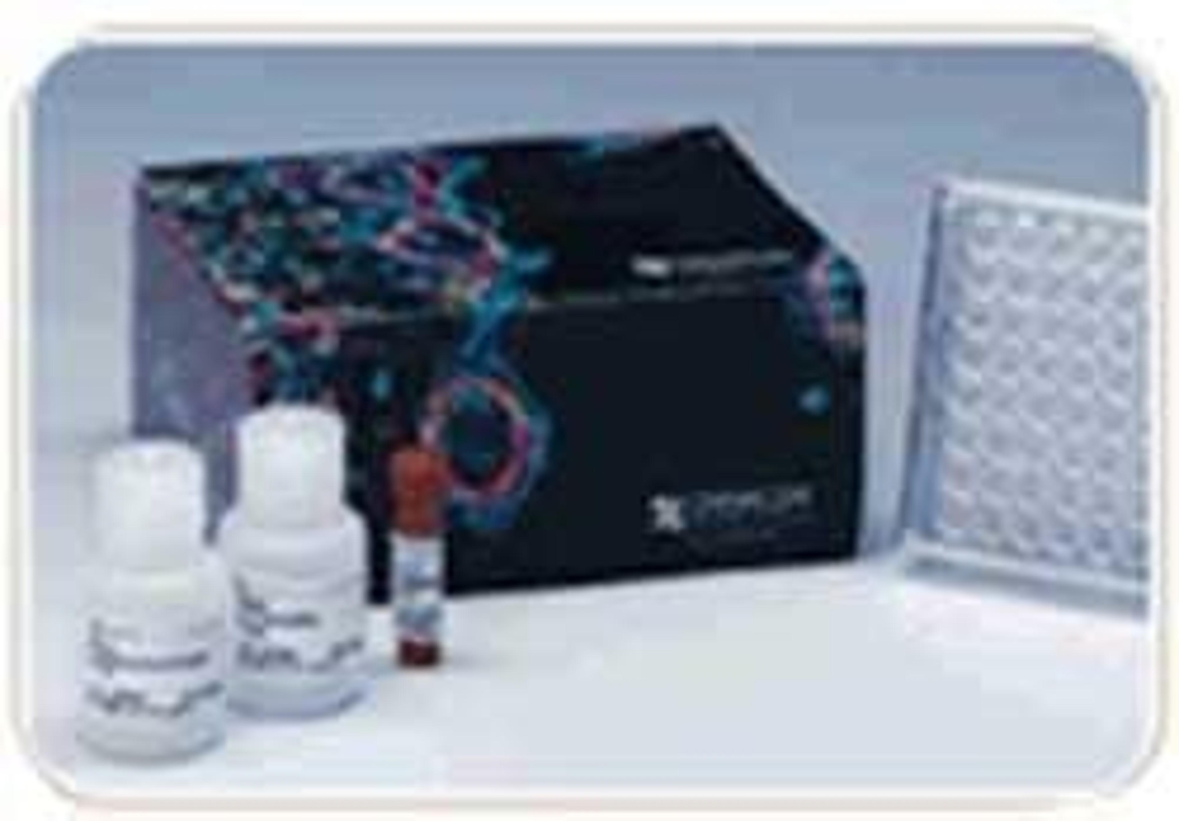 QCM Chemotaxis Cell Migration Assays - Merck - Life Sciences