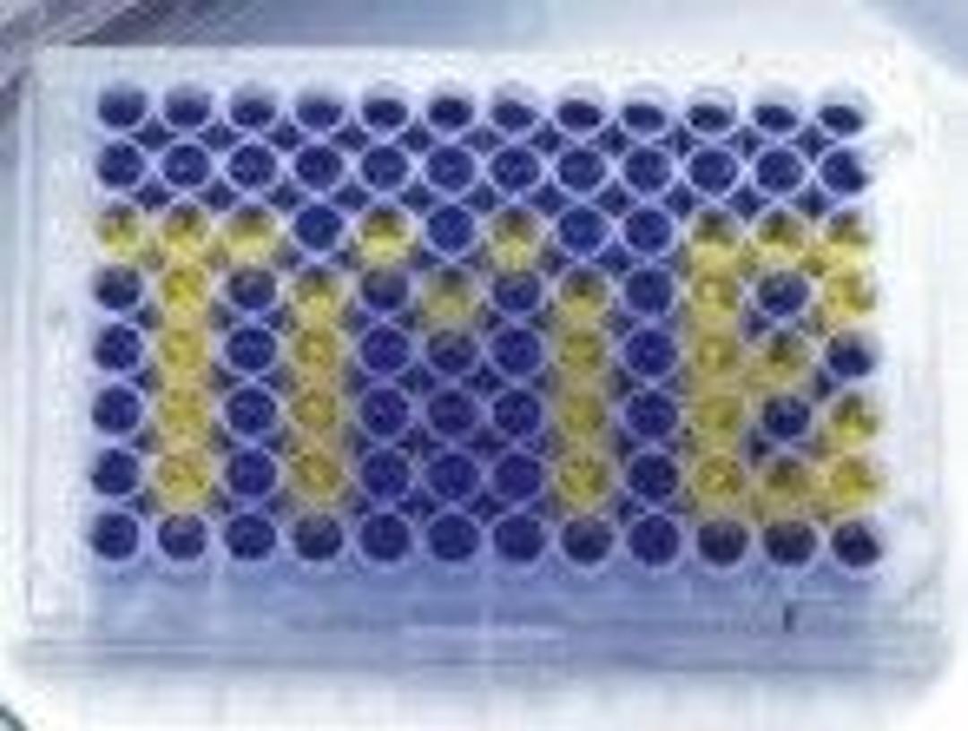 TMB ONE - Standard - null - Life Sciences