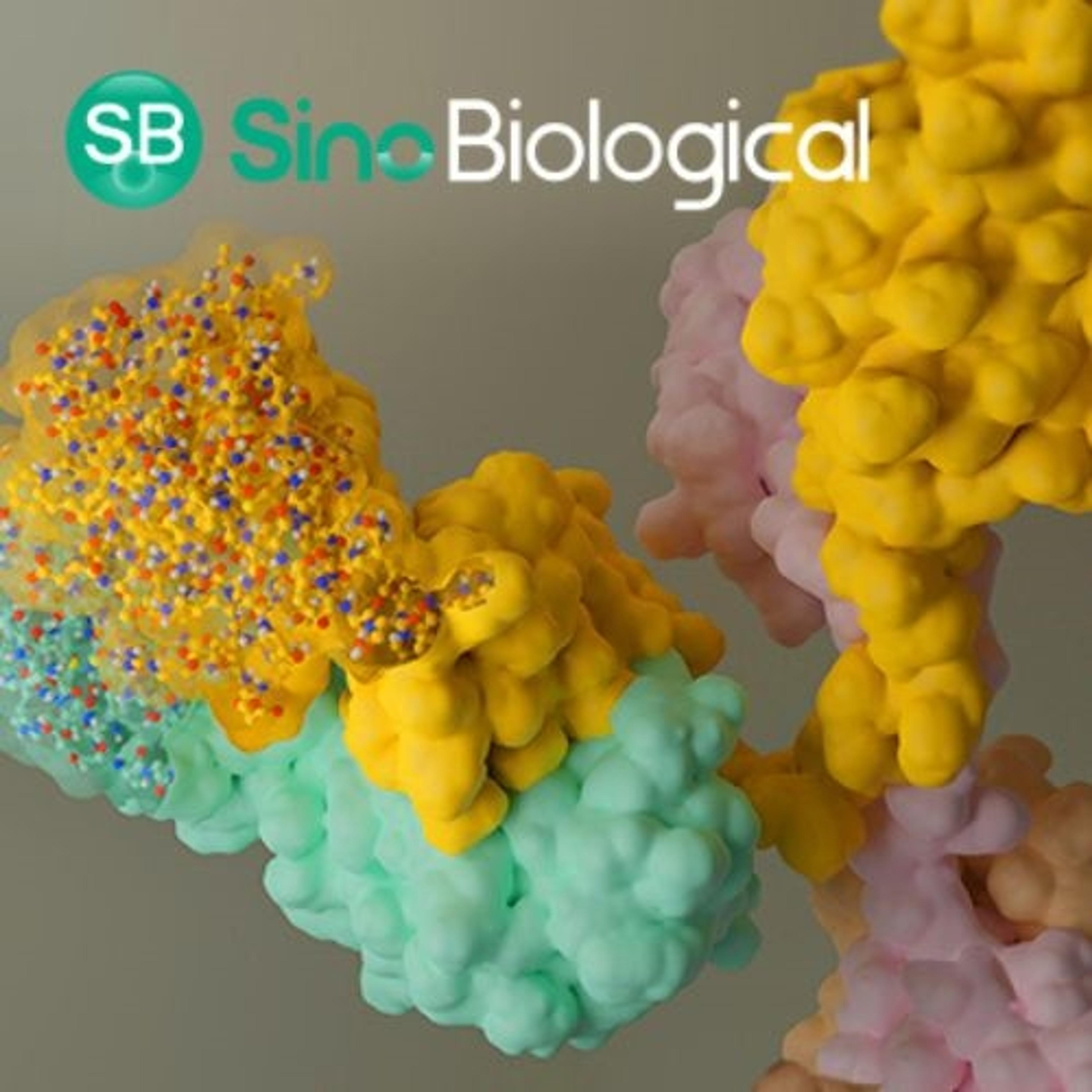 Beacon® Single B Cell Screening Platform - Sino Biological - Life Sciences