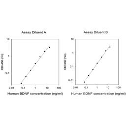 Human BDNF ELISA - RayBiotech Inc. - Life Sciences