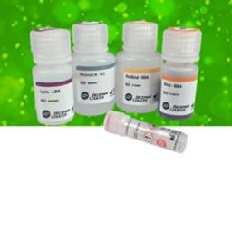 FormaPure RNA - Beckman Coulter Life Sciences - Life Sciences