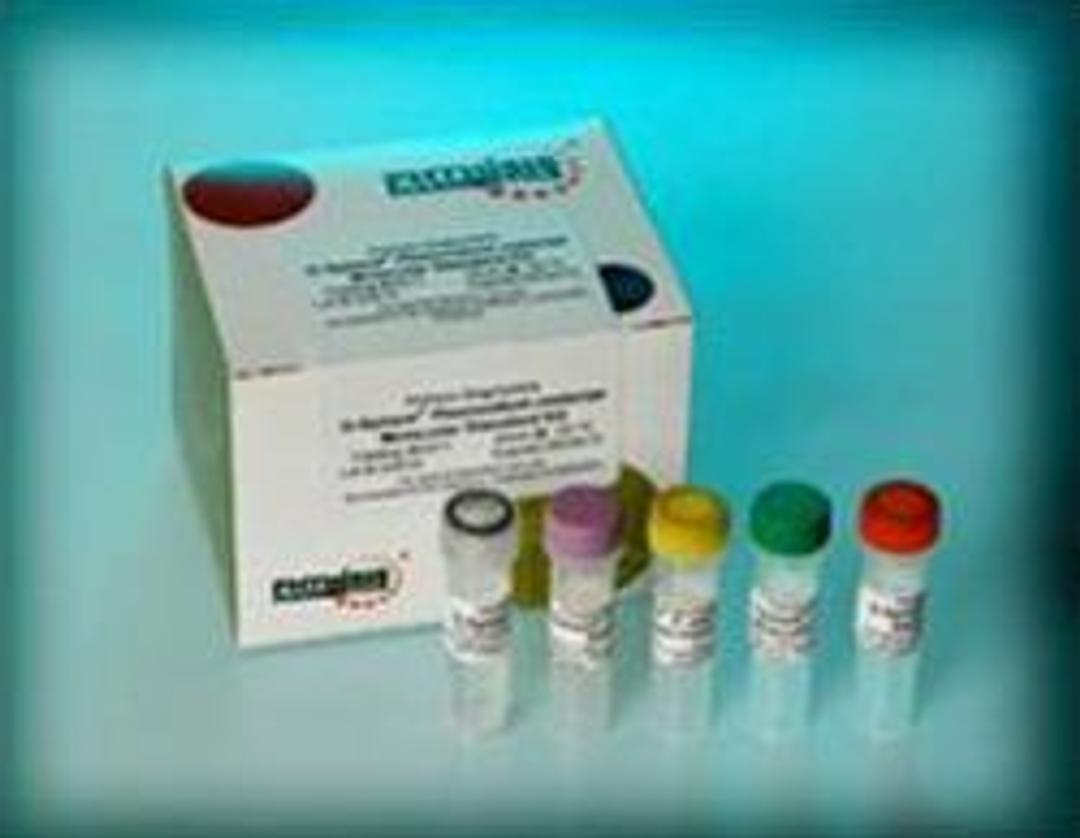 G-Sphere® Molecular Standards - Phthisis Diagnostics - Clinical Diagnostics