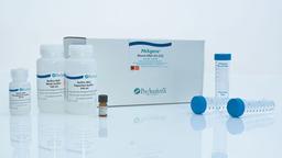 PAXgene Blood DNA Kit (25) - QIAGEN - Life Sciences