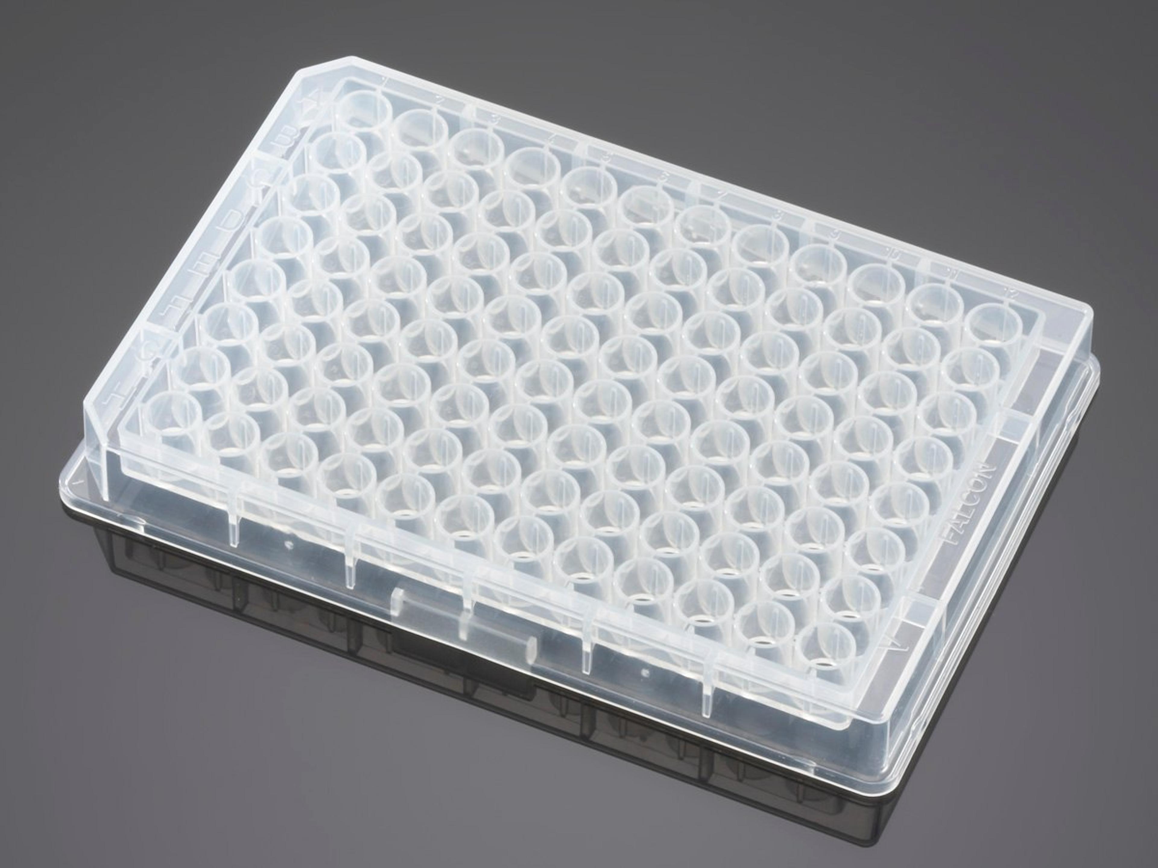 Falcon® 96-well Clear V-Bottom Not Treated Polypropylene Storage Microplate, 25/Pack, 100/Case - Corning Life Sciences - Life Sciences