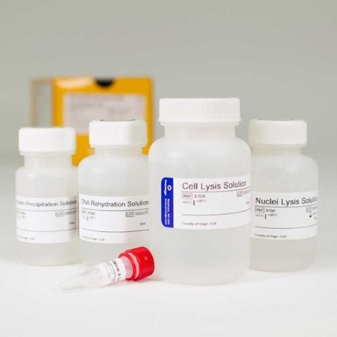 Wizard® Genomic DNA Purification Kit - Promega Corp. - Life Sciences