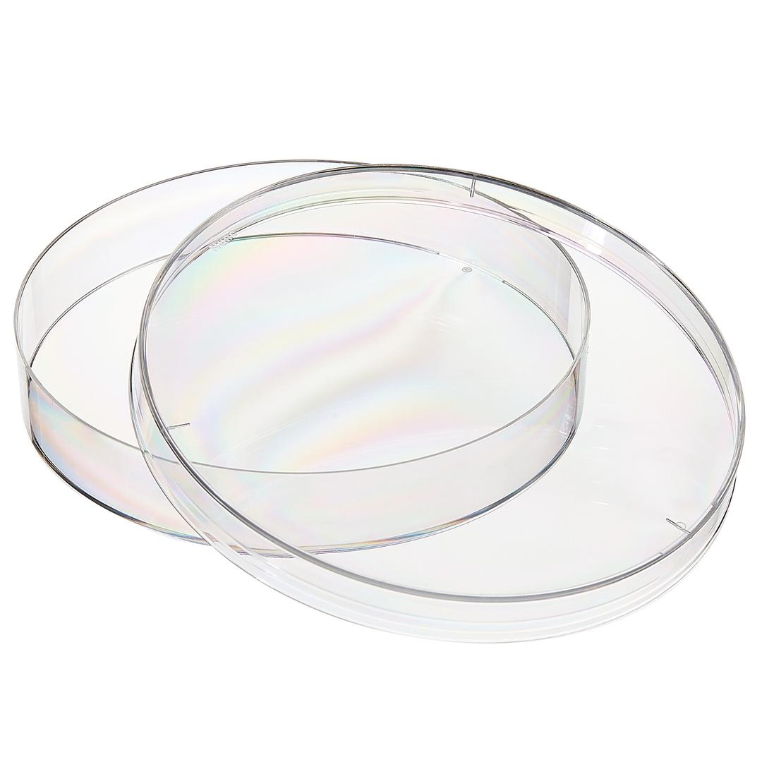 Nunc™ Petri Dishes - Thermo Fisher Scientific - General Lab