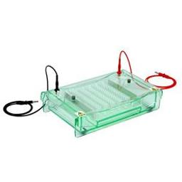 VG-FAST96 High Throughput Vari-gel MAXI System - Scie-Plas Ltd - Life Sciences