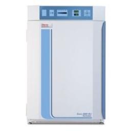 Thermo Scientific™ Forma™ Series 8000 CO2 Incubators - Thermo Fisher Scientific - General Lab
