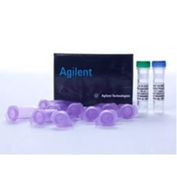 BL21-CodonPlus Expression Competent Cells - Agilent Technologies - Life Sciences