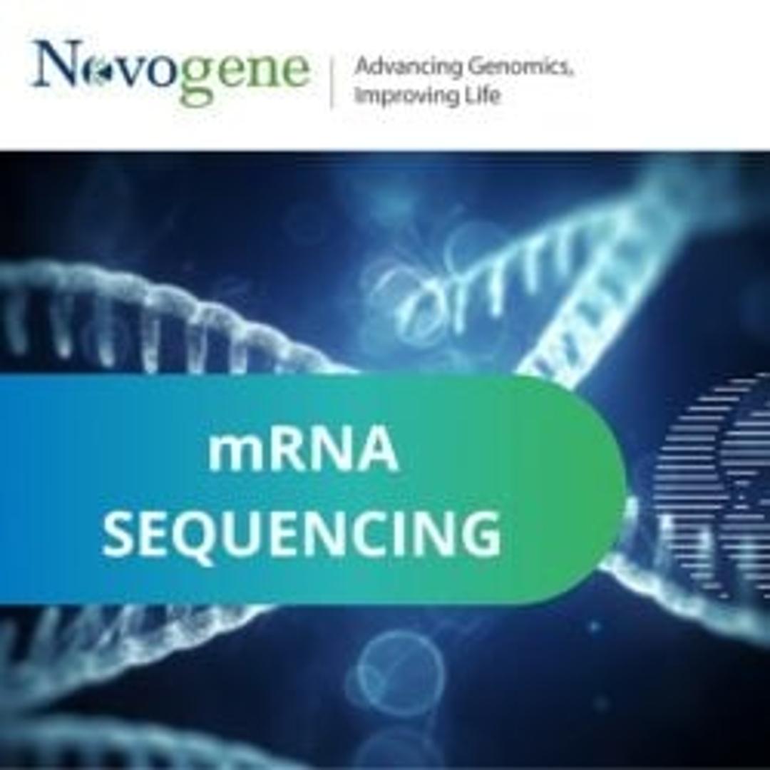 mRNA-seq - Novogene - Life Sciences