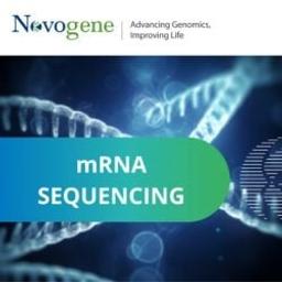 mRNA-seq - Novogene - Life Sciences