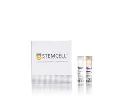 EasySep™ Human CD34 Positive Selection Kit II - STEMCELL Technologies Inc. - Life Sciences