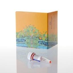 Diamond™ Nucleic Acid Dye - Promega Corp. - Life Sciences