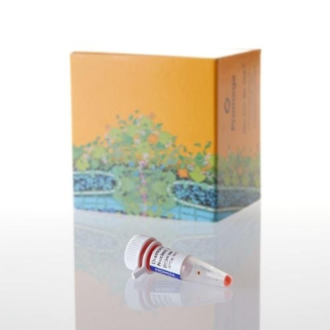 Diamond™ Nucleic Acid Dye - Promega Corp. - Life Sciences