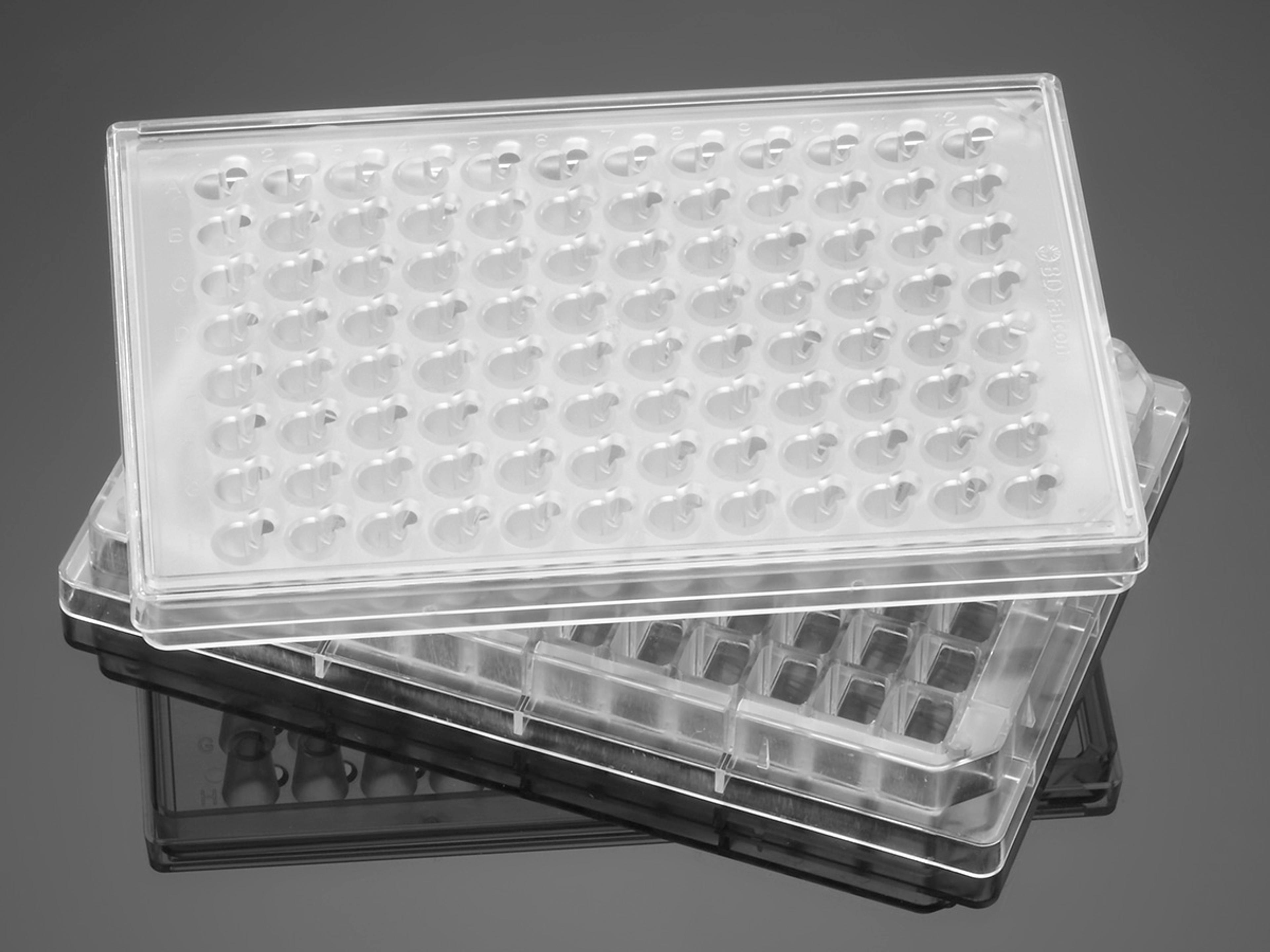 Corning® BioCoat™ Fibronectin HTS 24-well Multiwell Angiogenesis System with 3.0 µm Membrane, 5/Pack, 5/Case - Corning Life Sciences - Life Sciences