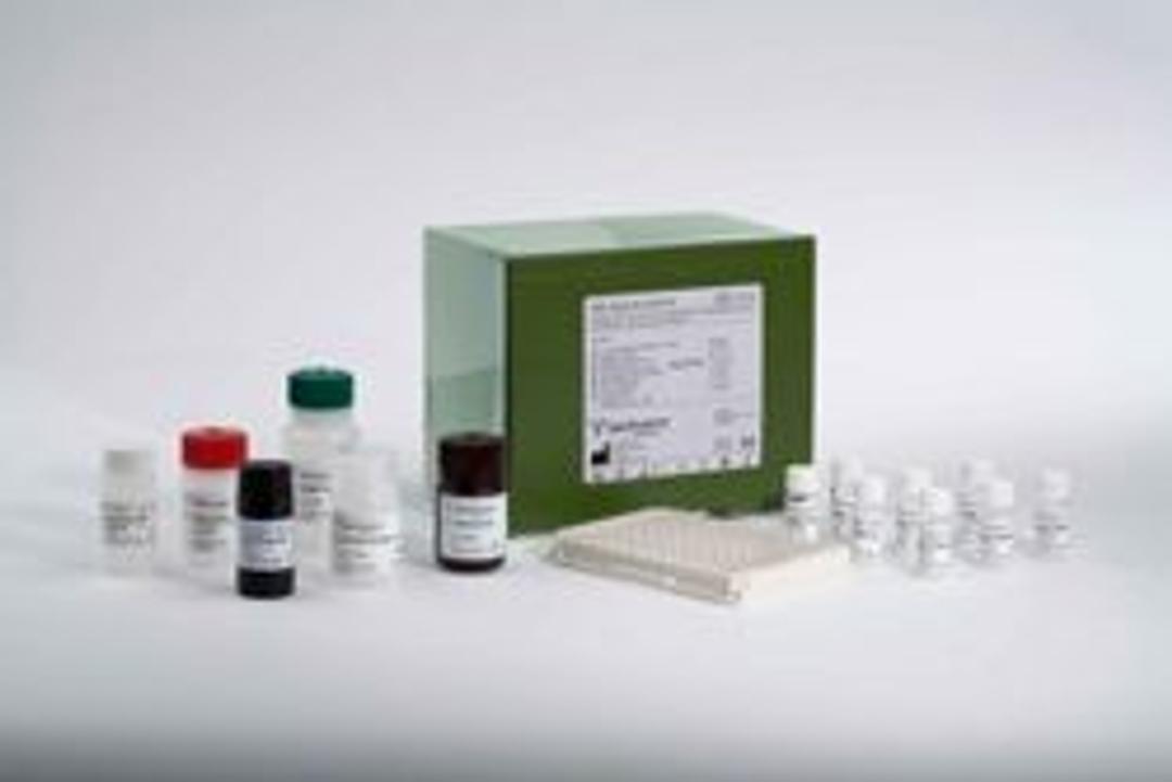 MBL Oligomer ELISA Kit - BioPorto Diagnostics A/S - Life Sciences