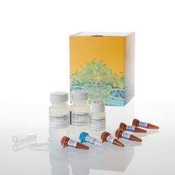 MethylEdge™ Bisulfite Conversion System - Promega Corp. - Life Sciences