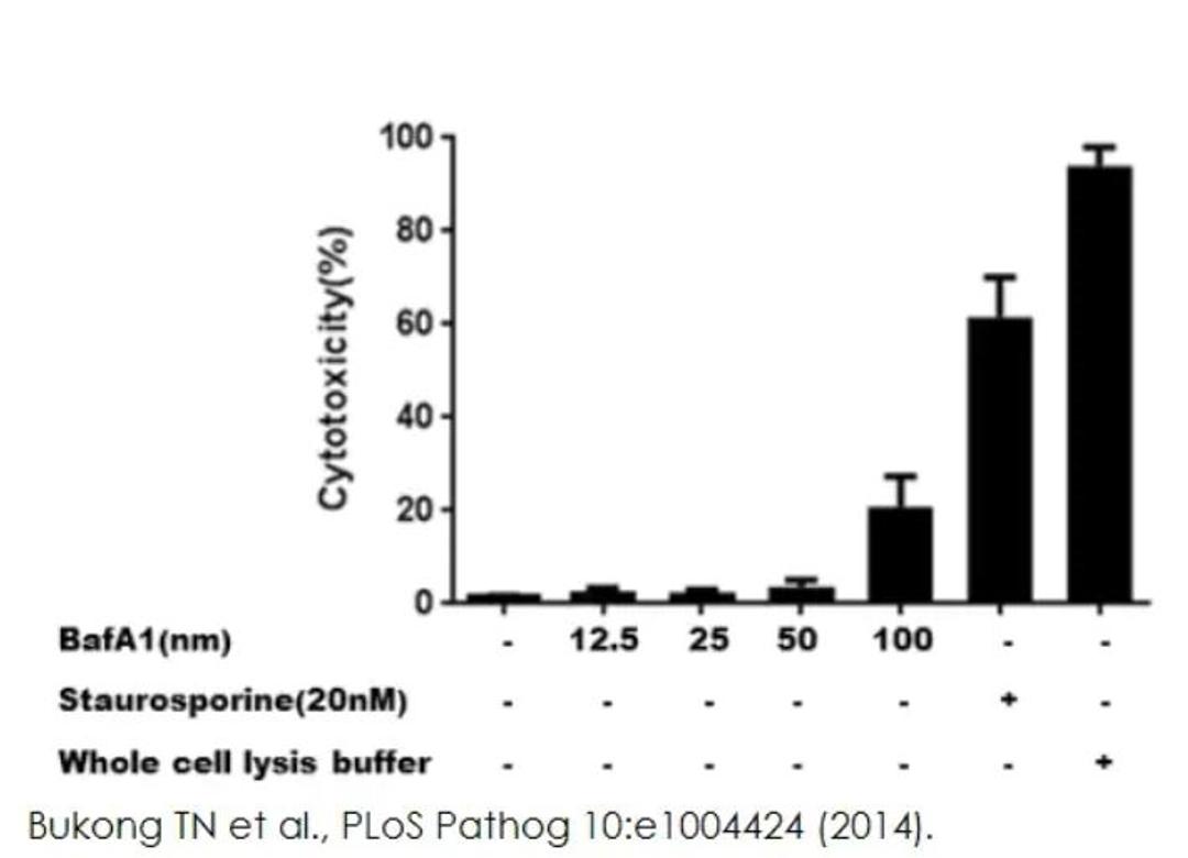 LDH Assay Kit (Cytotoxicity) - Abcam plc - Life Sciences