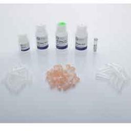 Bead Mill Tissue RNA Kit - OMNI International Inc. - Life Sciences