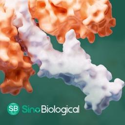 Complement Proteins from Sino Biological - Sino Biological - Life Sciences