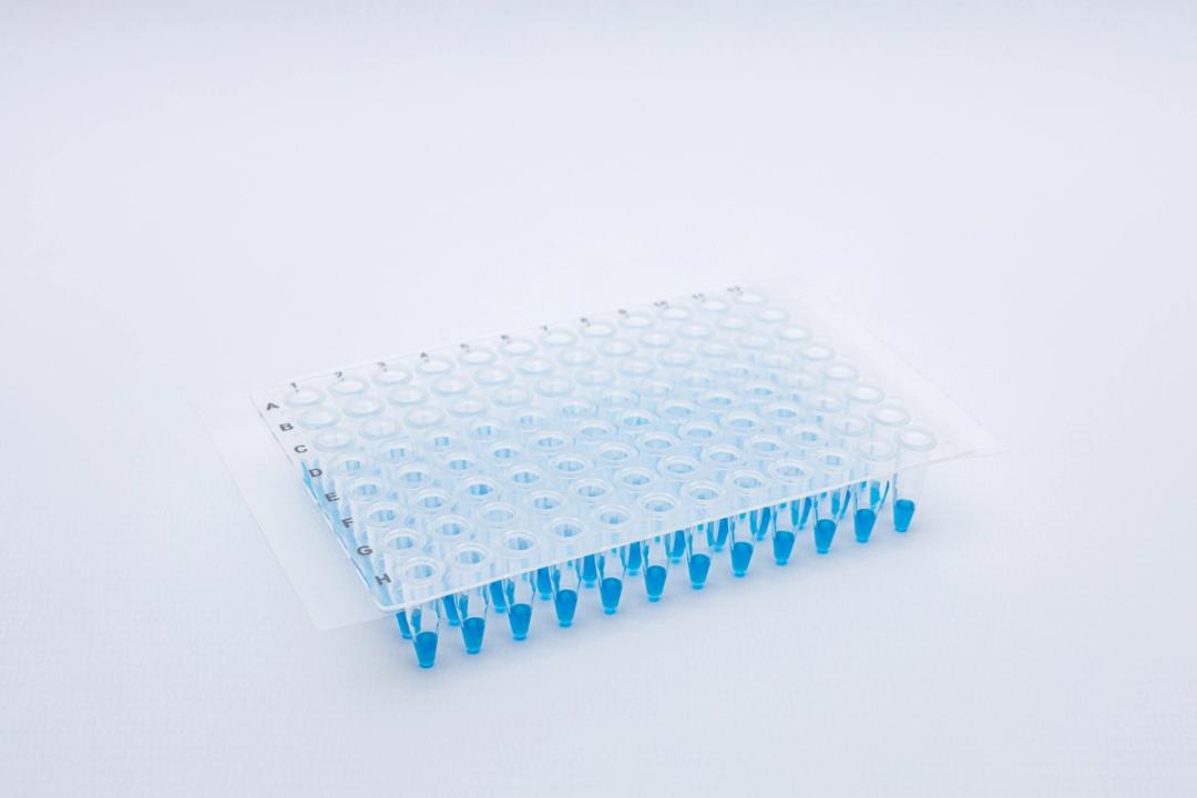 IST-131-080LR - iST Scientific - Life Sciences