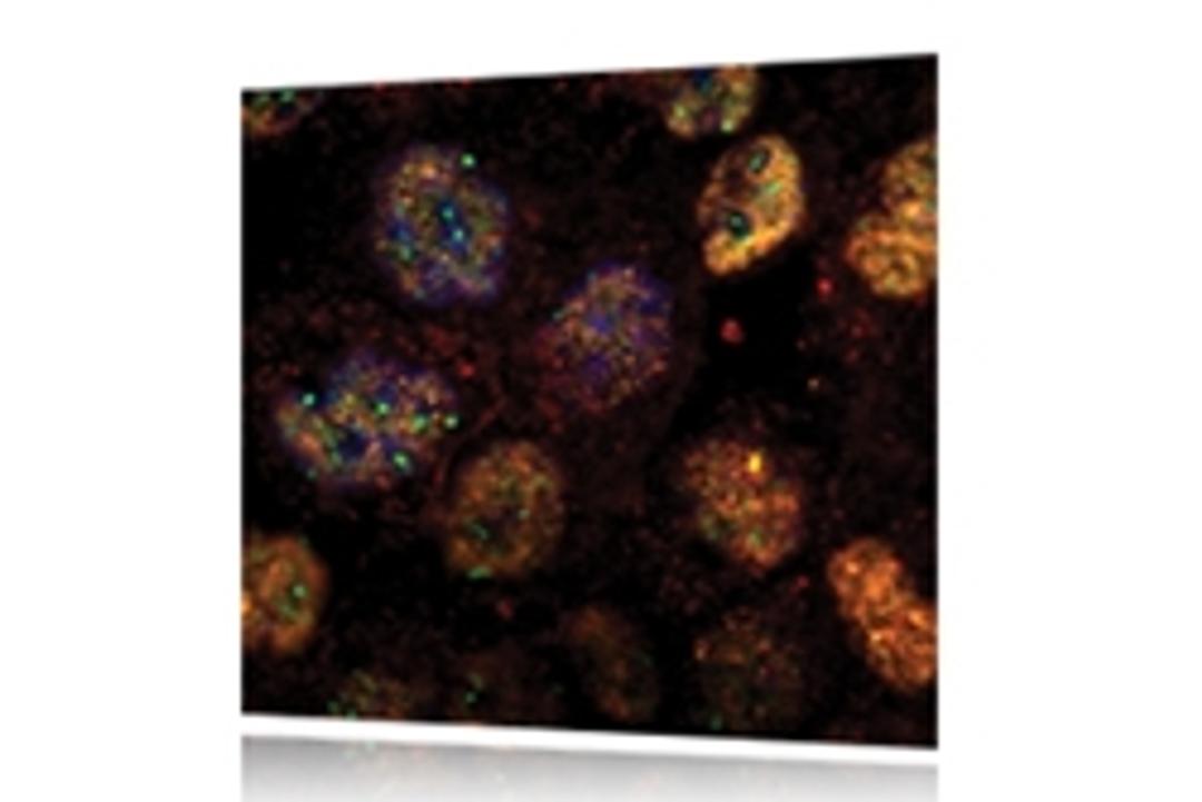 Andor SDK - Oxford Instruments Andor - Lab Informatics