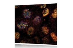 Andor SDK - Oxford Instruments Andor - Lab Informatics