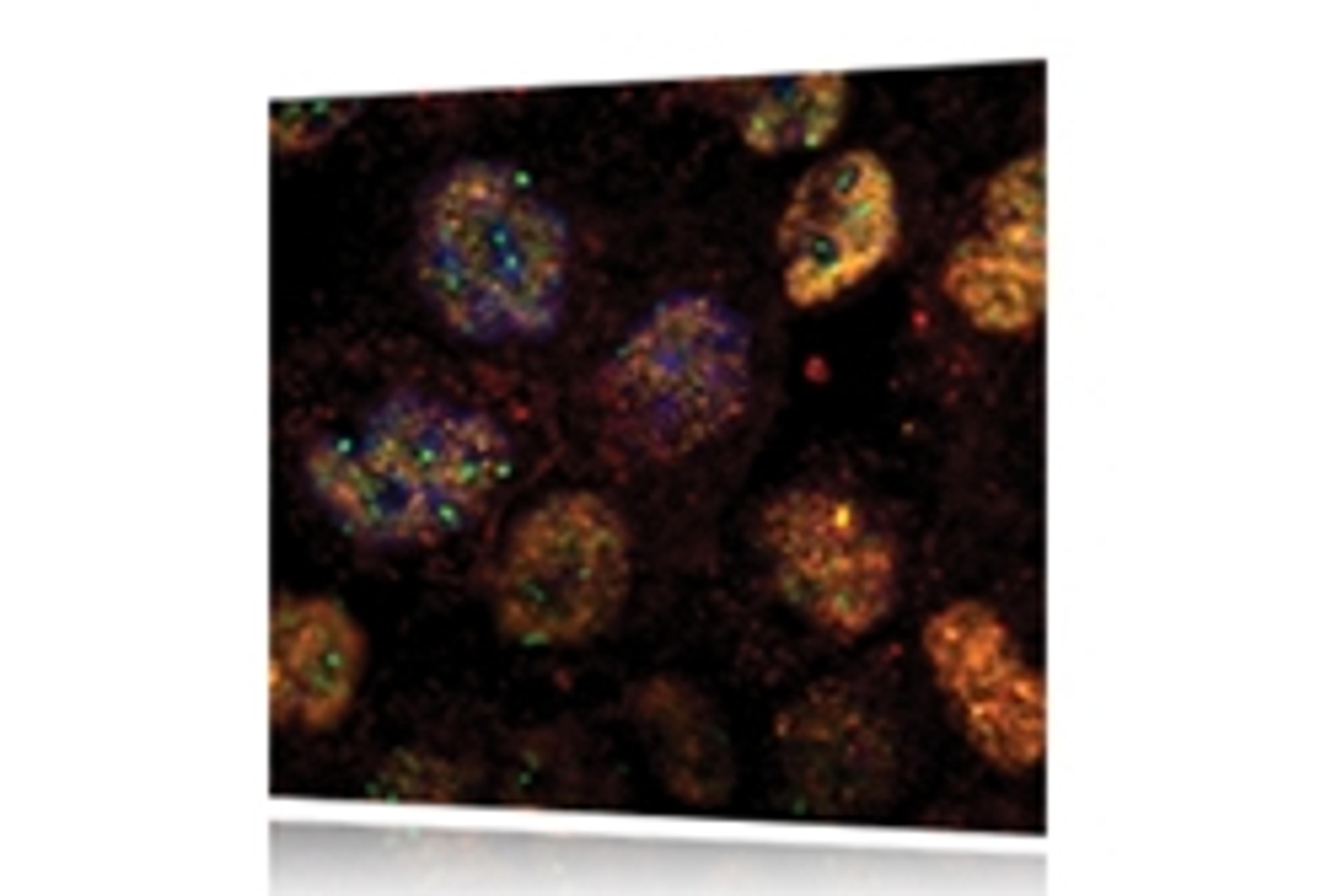 Andor SDK - Oxford Instruments Andor - Lab Informatics