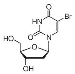 5-Bromo-2′-deoxyuridine - Merck KGaA, Darmstadt, Germany - Life Sciences