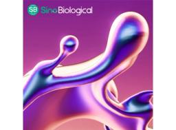 Substrates and Assay Reagents - Sino Biological - Life Sciences