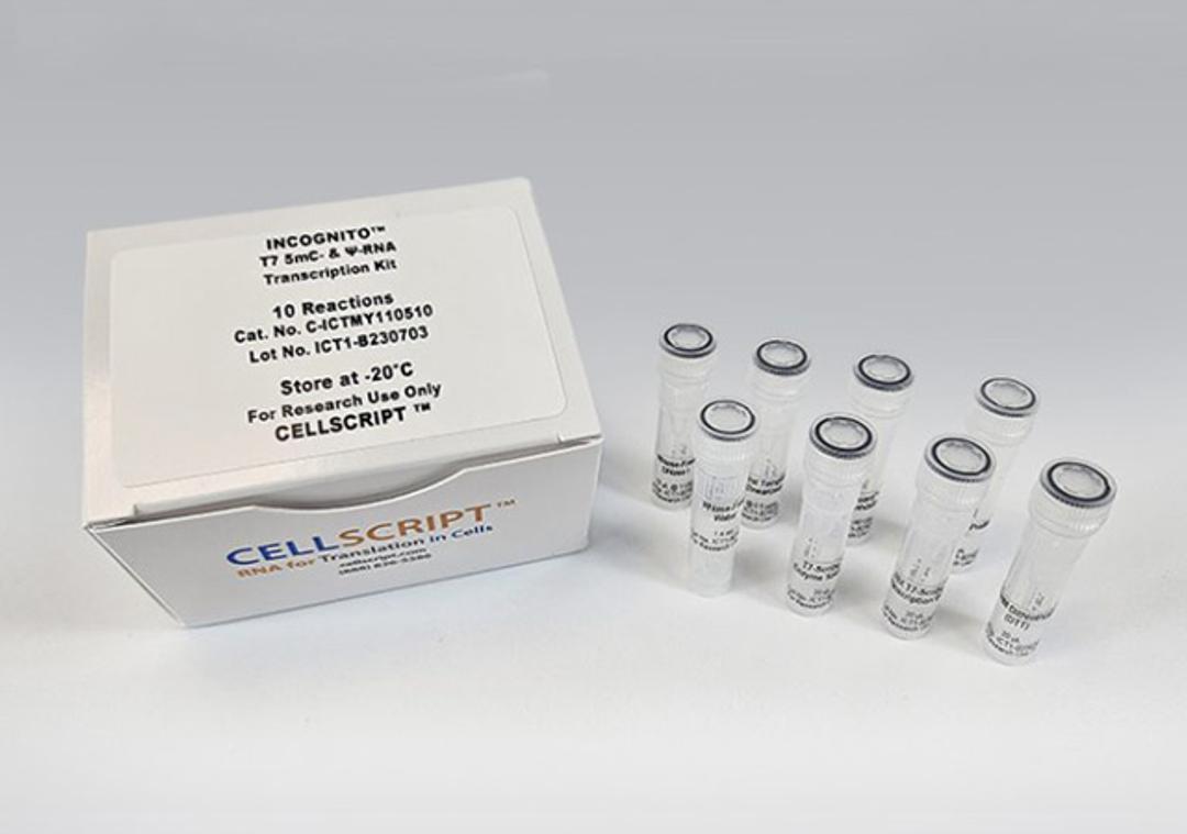 INCOGNITO™ T7 5mC- & Ψ-RNA Transcription Kit - CELLSCRIPT™ - Life Sciences