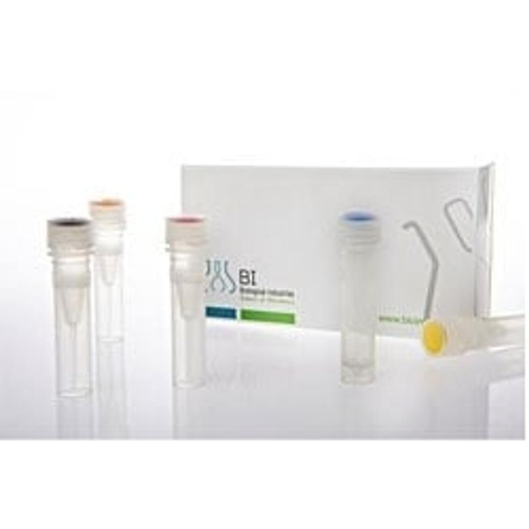 EZ-PCR Mycoplasma Detection Kit - Biological Industries - Life Sciences