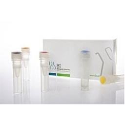 EZ-PCR Mycoplasma Detection Kit - Biological Industries - Life Sciences