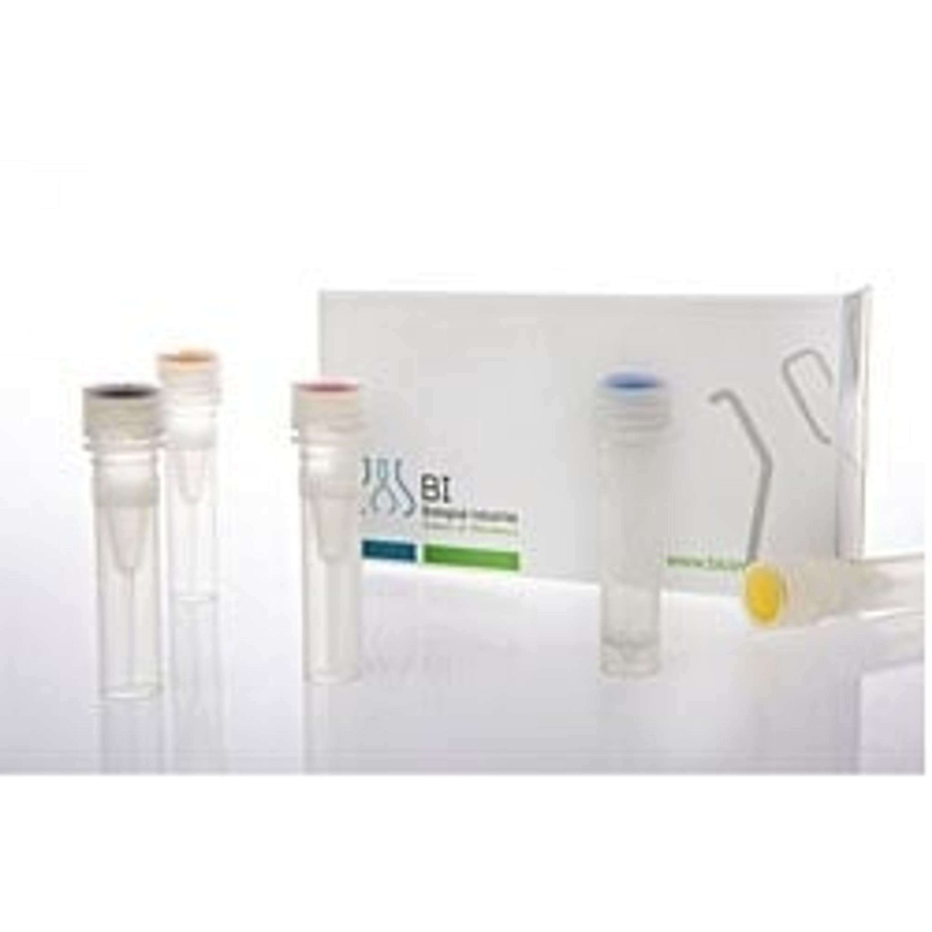 EZ-PCR Mycoplasma Detection Kit - Biological Industries - Life Sciences