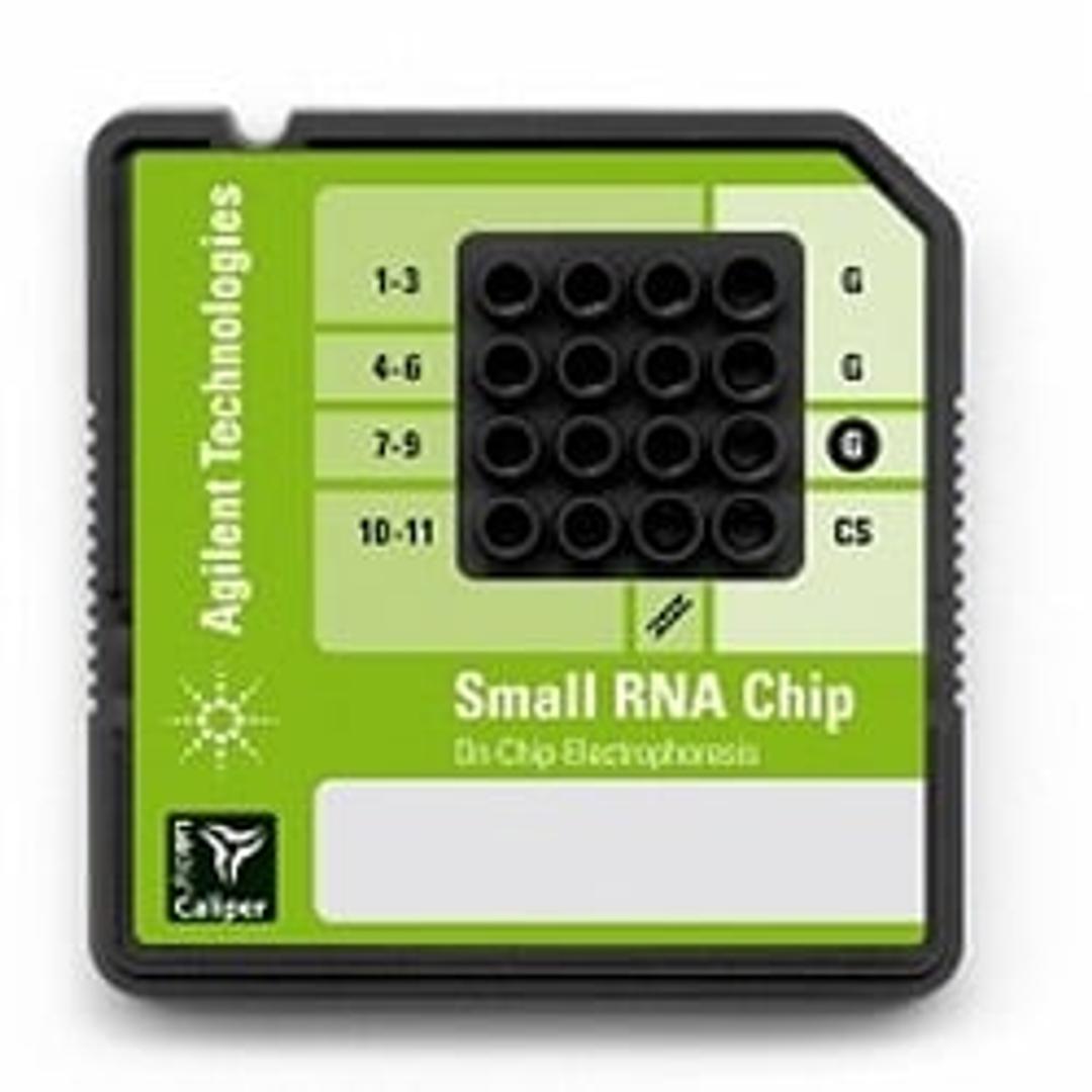 Agilent Small RNA Ladder - Agilent Technologies - Separations